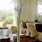 Senaria Hotel Anacapri (Isola di Capri)