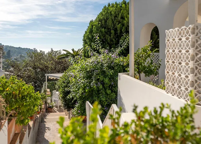 ホテル セナリア 3*