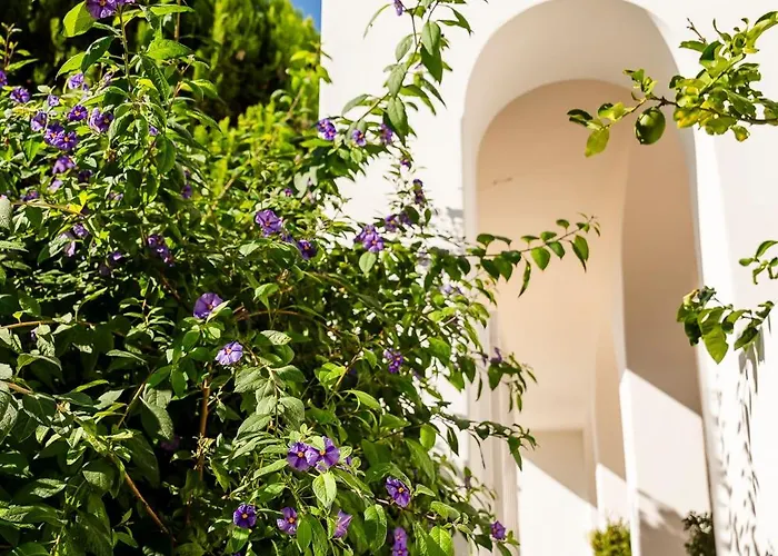 Senaria Hotel Anacapri (Isola di Capri)